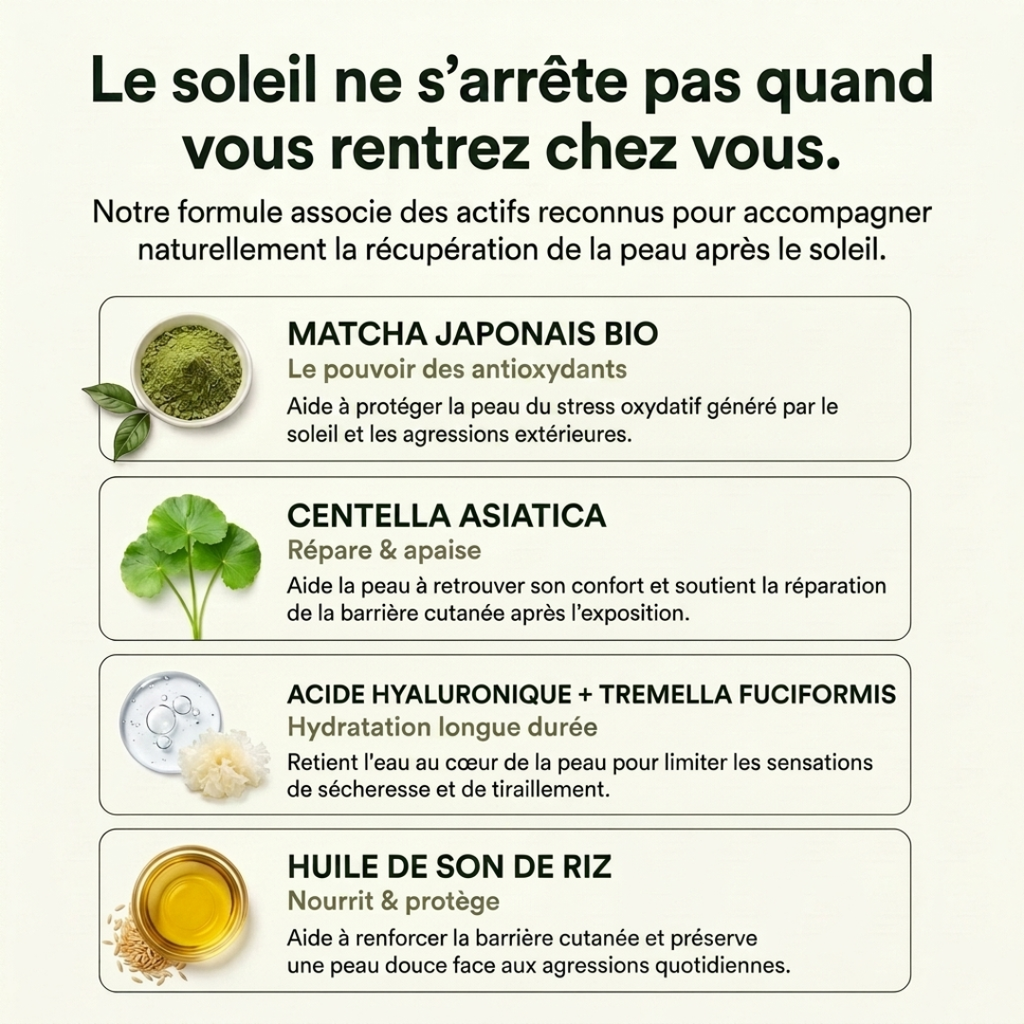 Sérum au Matcha - Répare & Apaise